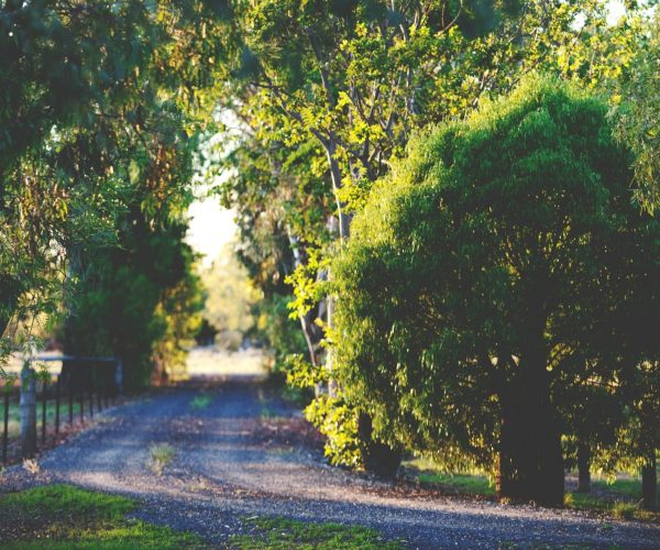 natalia-fogarty-ZnYWeC_vE34-unsplash