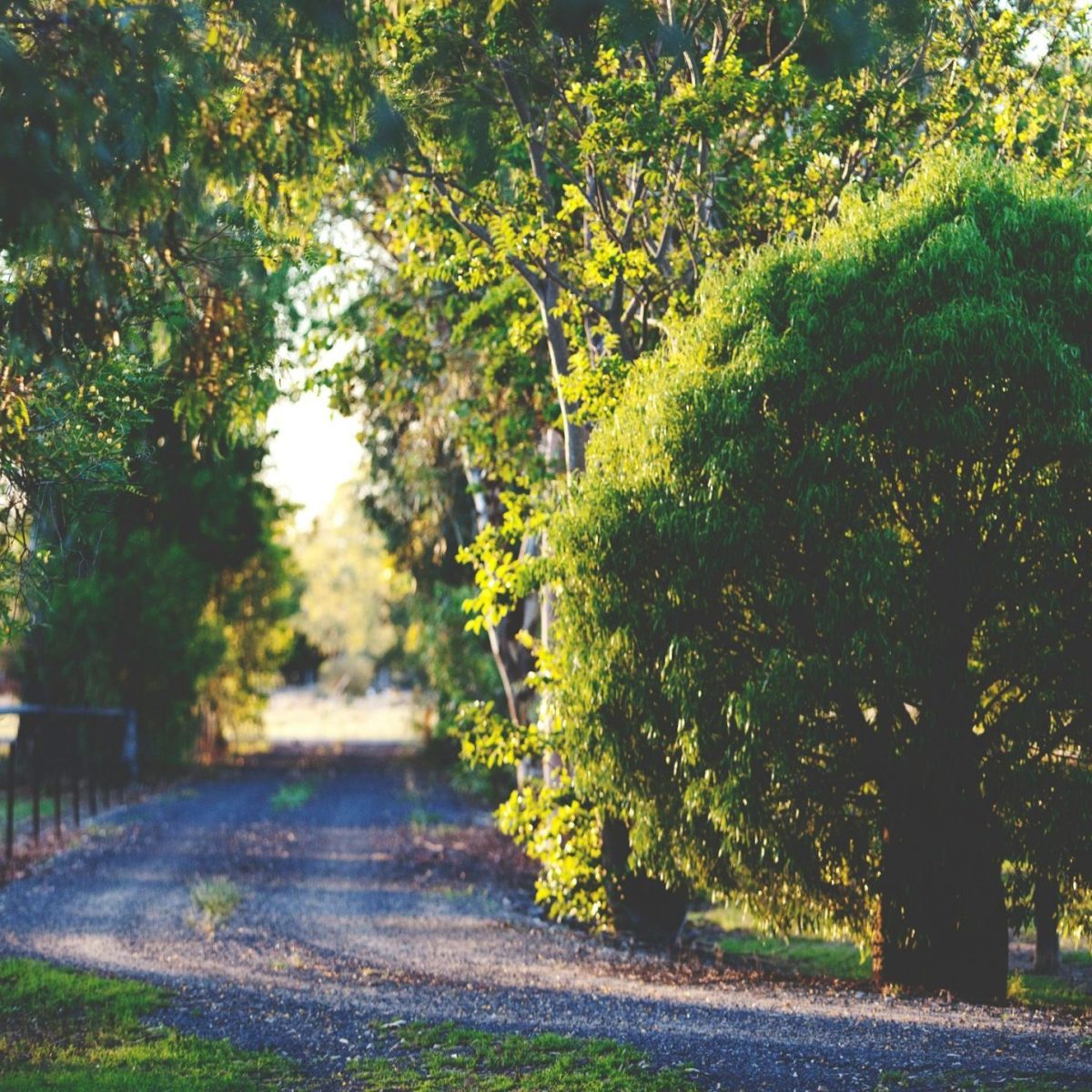 natalia-fogarty-ZnYWeC_vE34-unsplash